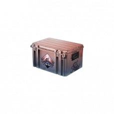 Dreams & Nightmares Case