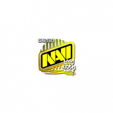 Sticker | Natus Vincere (Foil) | 2020 RMR