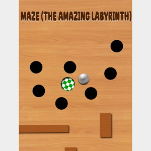 Maze: The Amazing Labyrinth 