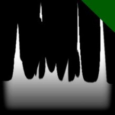 Wet Paint | Forest Green